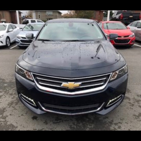 Meet your Posher, Sebastian - Picture 1 of 1